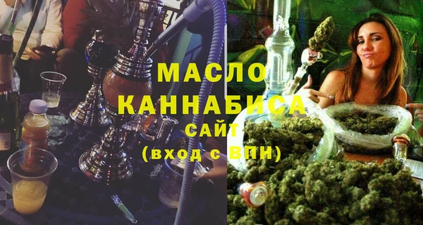 амф Верхний Тагил