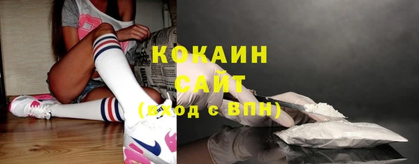 амф Верхний Тагил