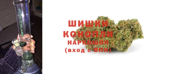 амф Верхний Тагил