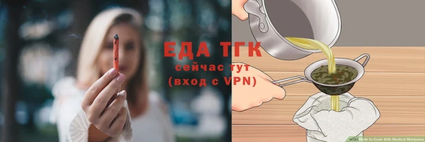 амф Верхний Тагил