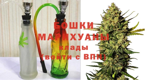 амф Верхний Тагил