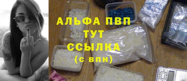 амф Верхний Тагил