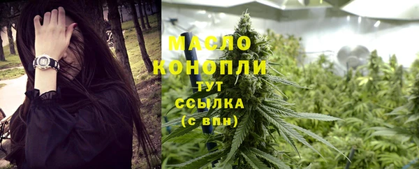 амф Верхний Тагил
