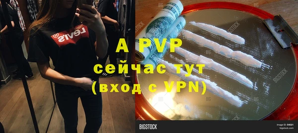 амф Верхний Тагил
